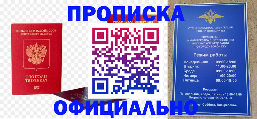 прописка иностранных граждан в Тавде